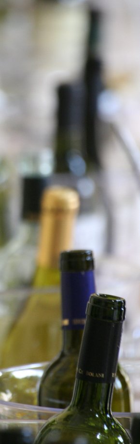 Wine festiva Terra dei Dogi in Portogruaro