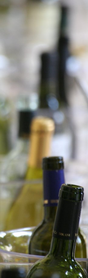 Terra dei Dogi Weinfest