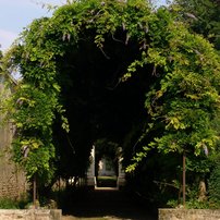 [Translate to English:] Laubengang im Garten der Villa Pisani.