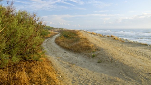 Wilder Strand in Comacchio