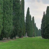 Teil des zugewachsenen antiken Hafens von Aquileia