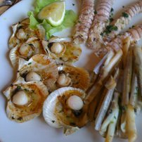Primo pesce