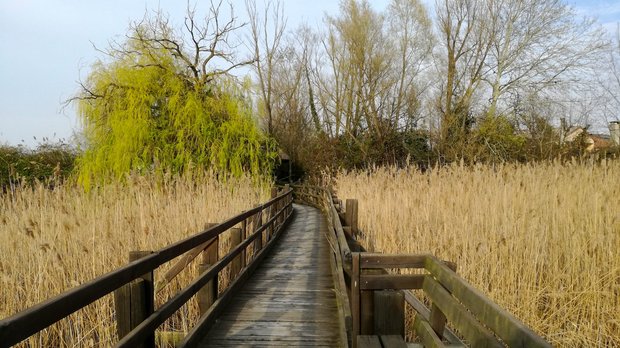 Urwüchsige Lagunenlandschaft bei Marano Lagunare.