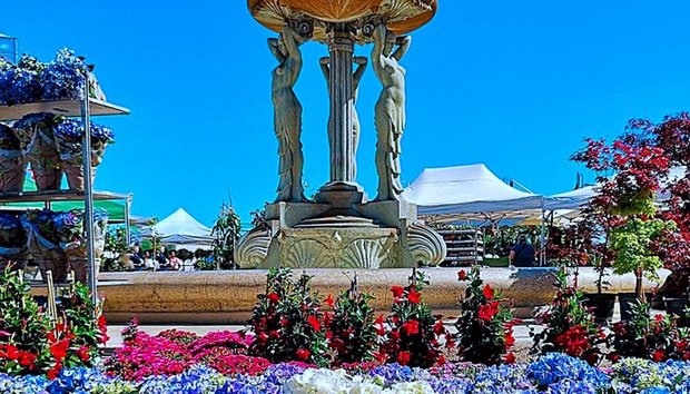 Cattolica in Fiore