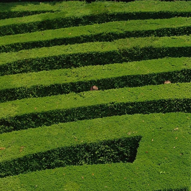 Im Irrgarten der Villa Pisani (Stra)