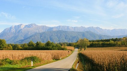 Friuli