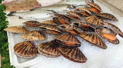 Fischmarkt