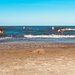 Hundestrand