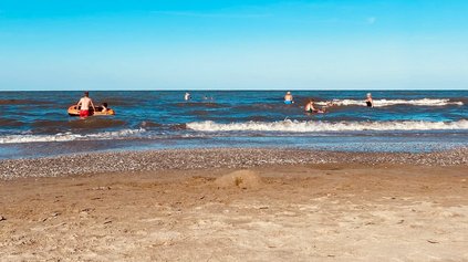 Hundestrand