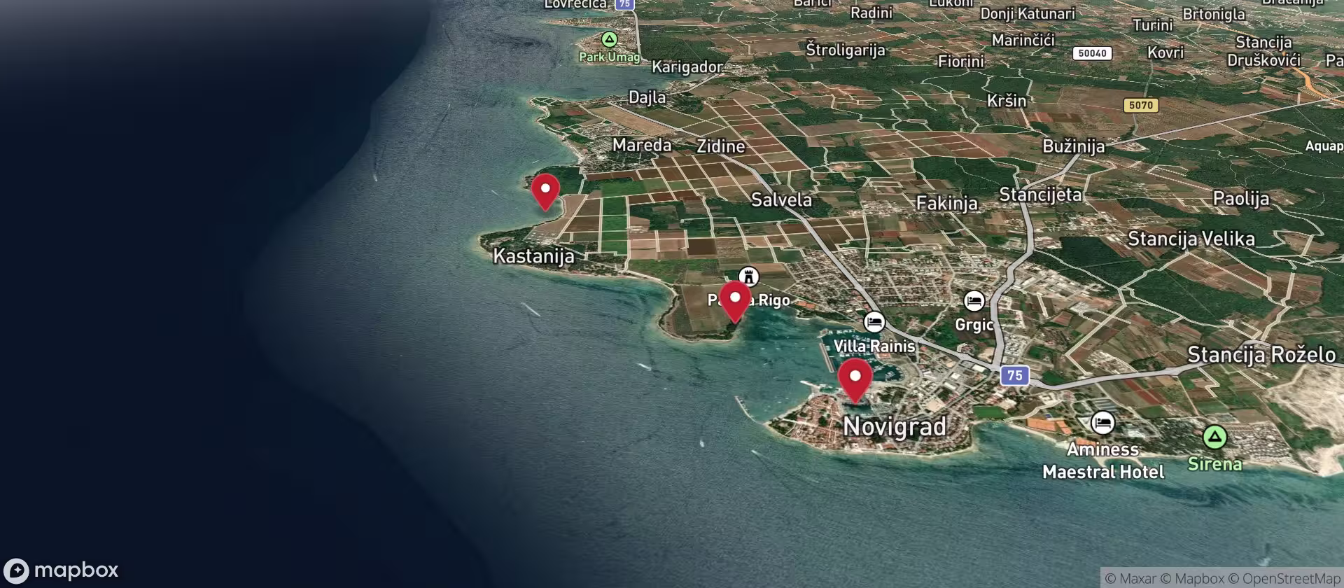 Dog-friendly beach near Novigrad