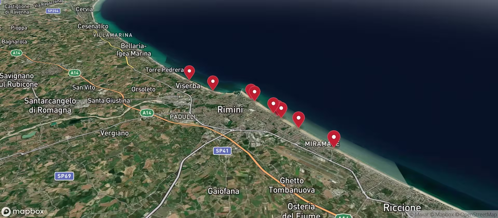 Rimini Dog: No problem