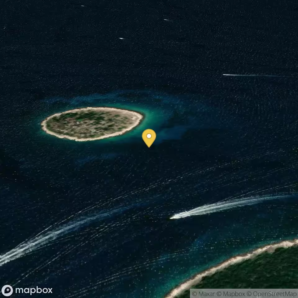 Artica Vela