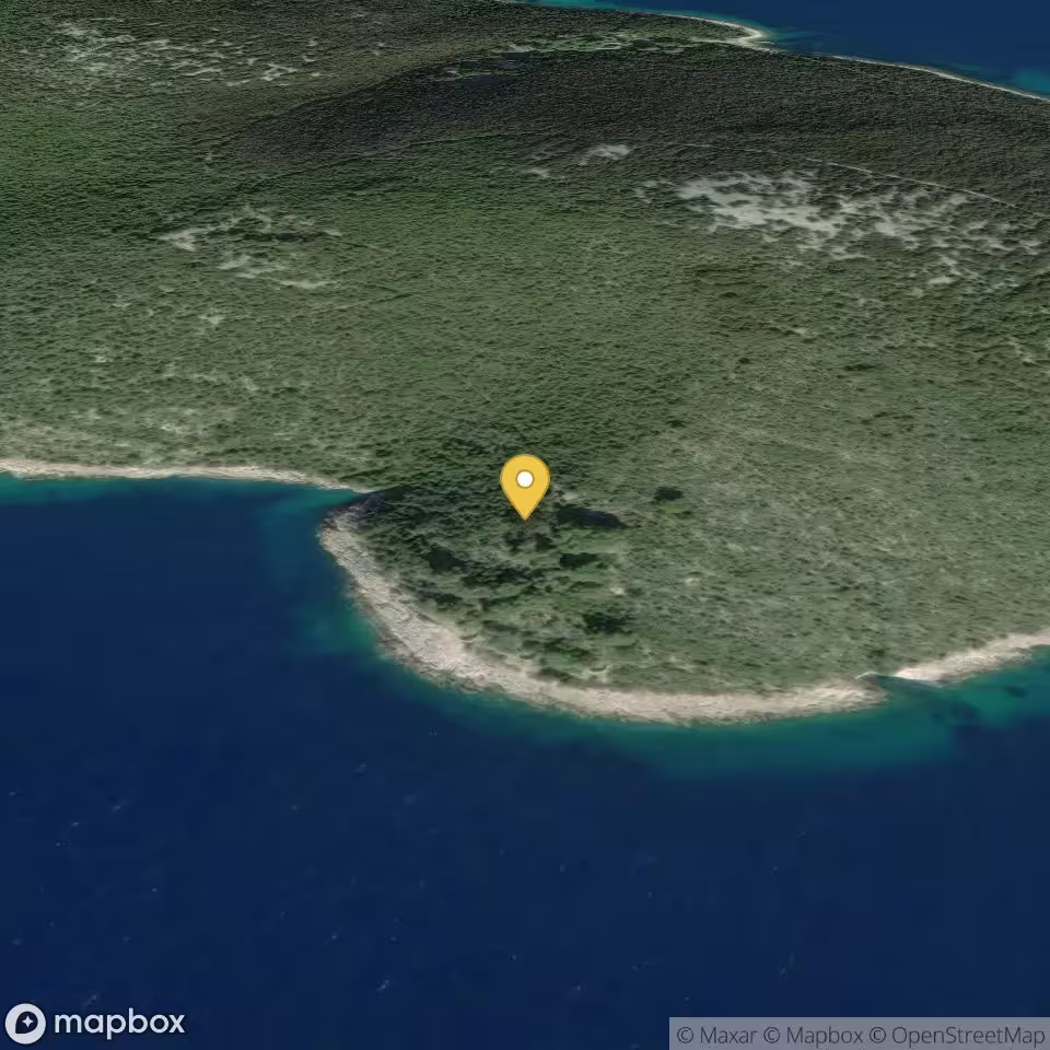 Bonaster (Molat Island)