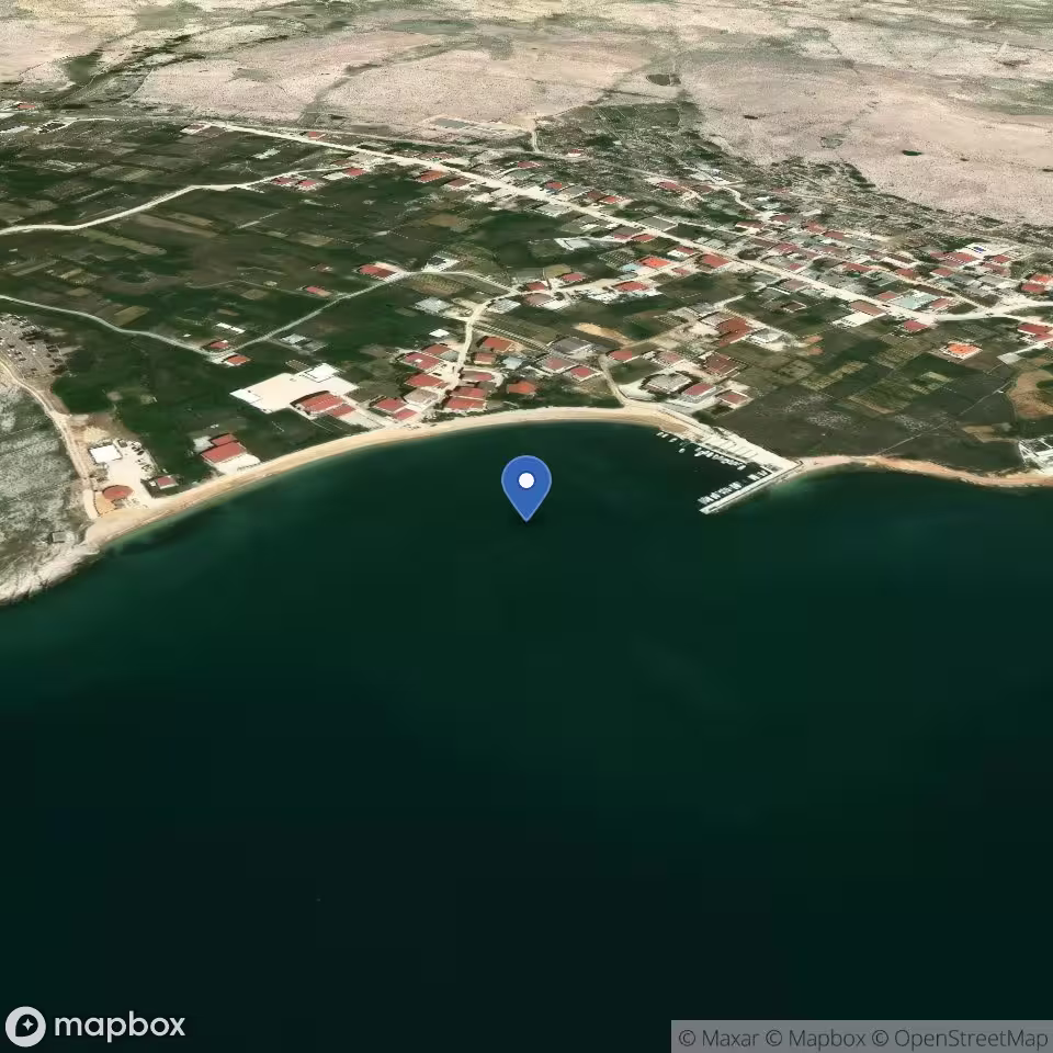 Zubovici