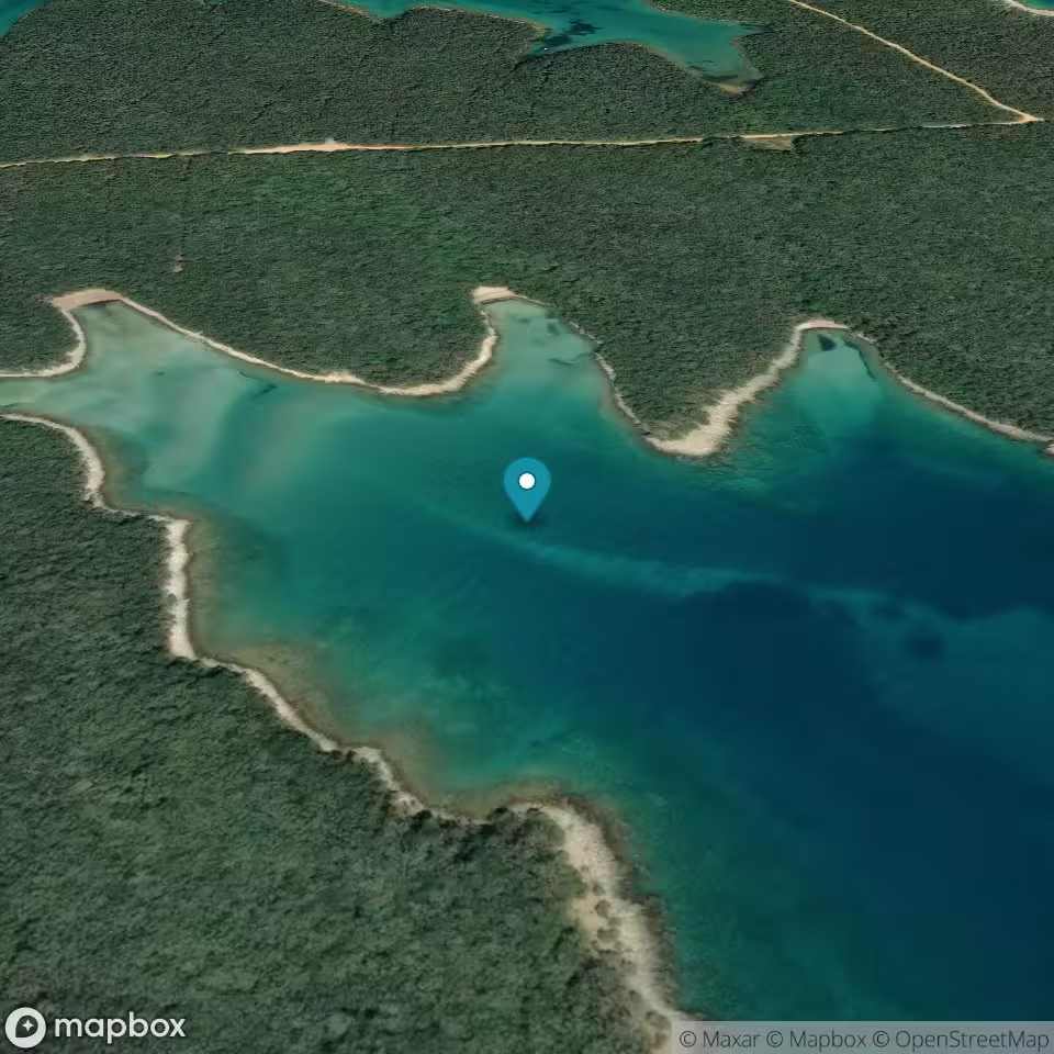 Kolorat & Majiska