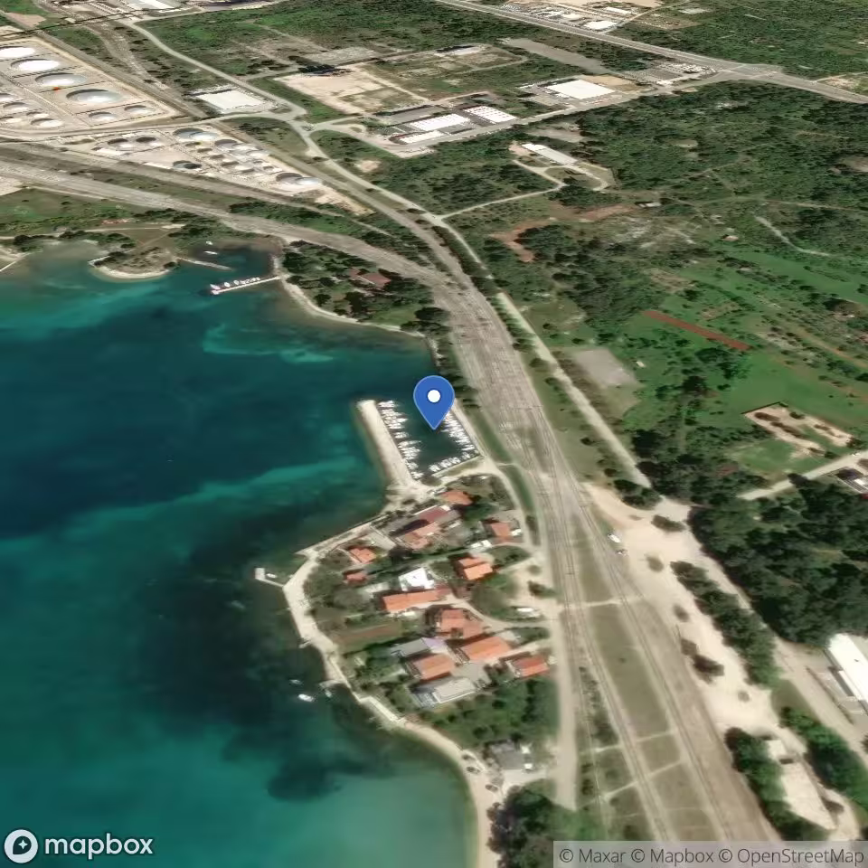 Lonici