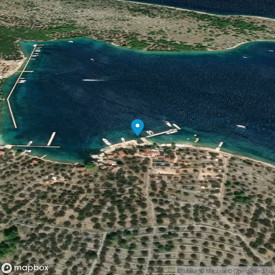 Marina Festa